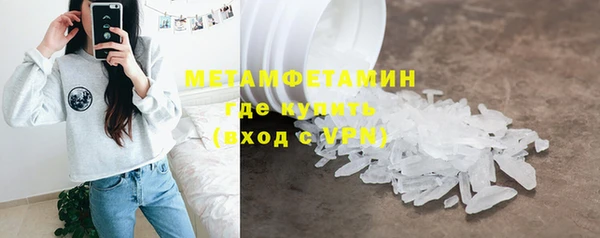 прущие грибы Верхний Тагил