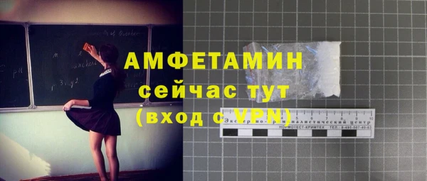 прущие грибы Верхний Тагил