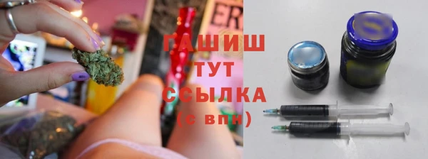 прущие грибы Верхний Тагил