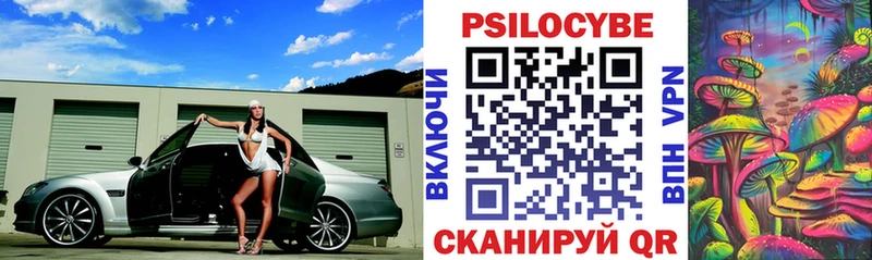 Купить закладки  Гатчина  Галлюциногенные грибы прущие грибы 